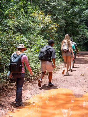 Deelnemers onderweg naar de watervallen van Brownsberg in Suriname